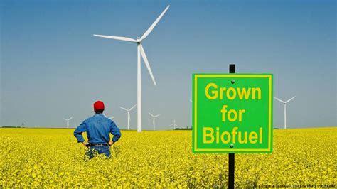 Simple Solutions for Our Biofuel Problem HuffPost Impact