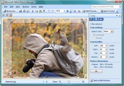 Simple Way to Crop or Resize Images in Microsoft Office
