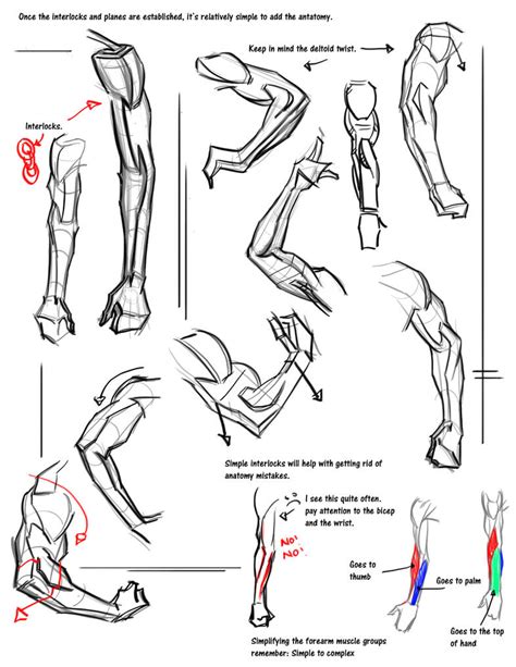 Simple arm demo notes by on deviantART