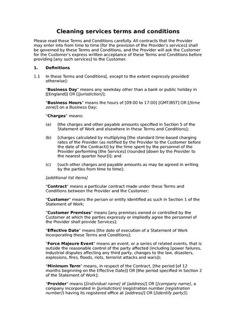 Simple cleaning terms and conditions Docular