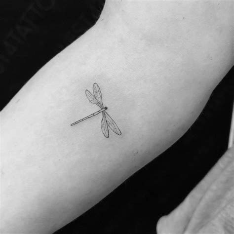 Simple fine line dragonfly tattoo…. #dragonflytattoo # ... - TikTok