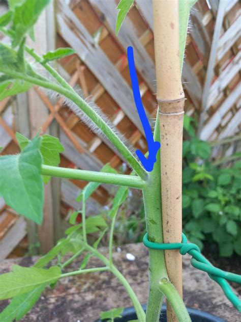 Simple frugal life blog. .  <a href=https://laviethanhbinh.com/bffk8/how-to-turn-of...