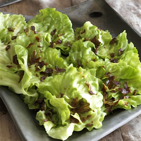 Simple wilted lettuce recipe.  sim&middot;pler , sim&middot;plest 1.  D&eacute;finit...