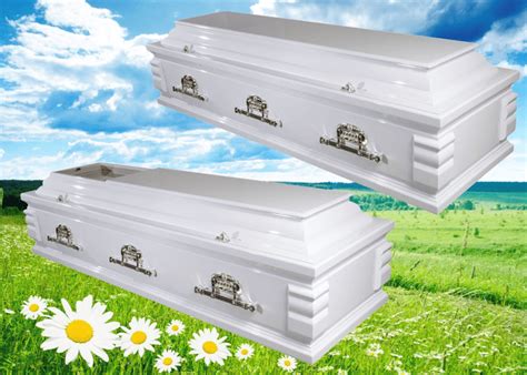 Simplicity casket pte ltd.  See 3 social pages including Facebook and Go...