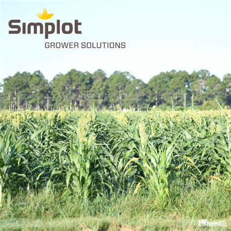 Simplot Grower Solutions in Goodland, KS 67735 - (785) 899-5900