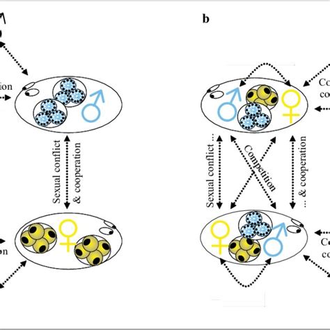 Simultaneous Hermaphroditism - an overview ScienceDirect Topics