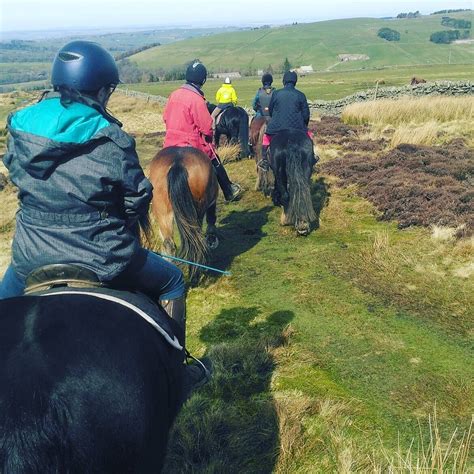 Sinderhope Pony Trekking Centre - Tripadvisor