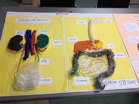 veodersti.rgarabwor.edu.pl. 