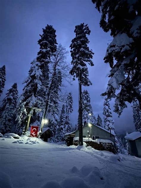 Sinekli Halı ve Koltuk Yıkama