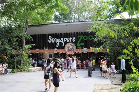 Tiny Pussy - izleyenkm.online - 2023 Singapore zoo address
