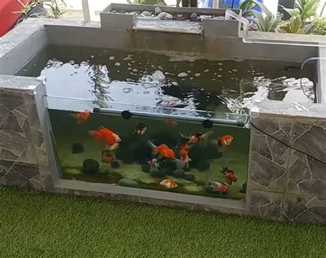 Singapore tgl 21 july 2019. Ikan dalam kolam versi.