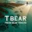 Singer Songwriter Keyboardist T Bear To Release New Album …