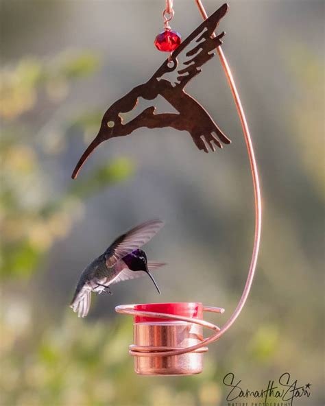 Single Feeder with Metal Hummingbird - Copper …