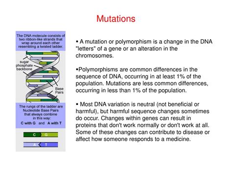 Single Nucleotide Polymorphism and Its Impact On Gene Function