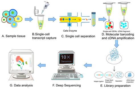 Single-cell genomics technology: perspectives Experimental ...