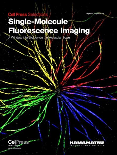 Single-molecule fluorescence microscopy. Single-molecule bleaching data reveal the number of fluorophores contributing to the fluorescence of a single Tf, and in turn, quantify the number of Tfs … 