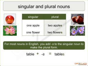 Singular Plural Lesson Plan How to Teach Off2Class