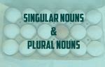 Singular dan Plural Nouns: Pengertian, Cara Membentuk dan …