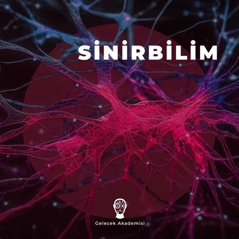 codini.rgarabwor.edu.pl. 