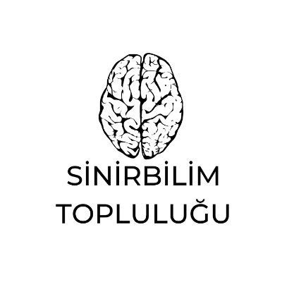 Sinirbilim Topluluğu 'İlk görüşte aşk' sözü uzun yıllardır popüler . 