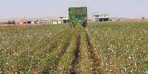 Sinirgoren Halı ve Koltuk Yıkama