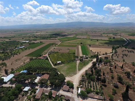 Sinirteke Halı ve Koltuk Yıkama