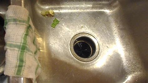 Allow the garbage disposal motor to coll for 3-5 minutes, then push t