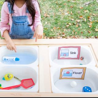 Sink or Float Activity Science Lesson GMN / Float or Sink ...