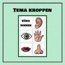 Sinnen övningar barn