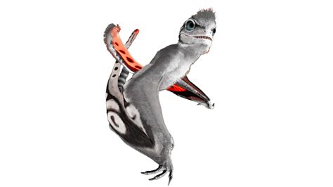 The Sinomacrops is a tamable pterosaur in the Lost Island free DLC. What does a Sinomacrops eat? In ARK: Survival Evolved, the Sinomacrops eats Chitin. Translations: Синомакропс.. 