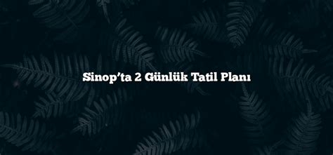 Sinop Tatil Programı. 