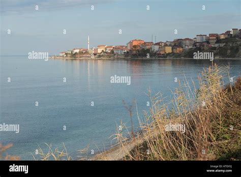 Sinop Turkeli En Yakin terapi halı yıkama