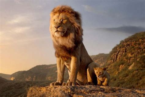 Sinopsis Film The Lion King, Aksi Simba Rebut Kembali Takhta Ayahnya