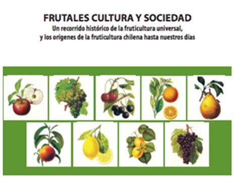 Sinopsis de la fruticultura de chile. - 87 pontiac trans am owners manual.