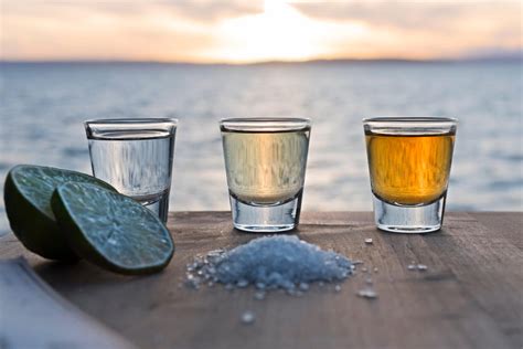 Sipping tequila. The best tequilas for 2023 are: Best for whisky lovers – Storywood speyside 14 añejo: £53.99, Storywoodtequila.com. Best bargain – El Jimador blanco: £27.44, Masterofmalt.com. Best sipping ... 