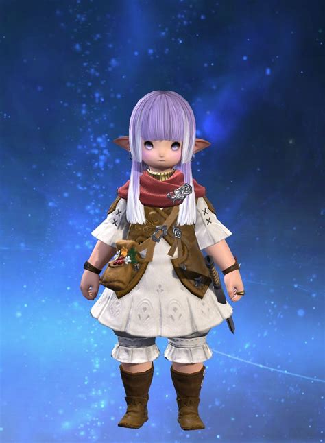 Sir Dumpling FINAL FANTASY XIV, The Lodestone