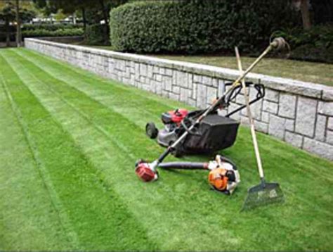 Sisneros lawn service. Things To Know About Sisneros lawn service. 