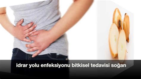 codini.rgarabwor.edu.pl. 