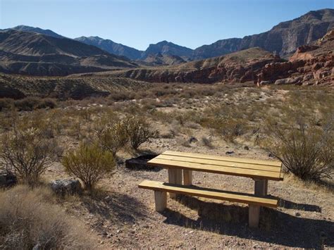 Site 85, Virgin River Canyon Recreation Area - Recreation.gov