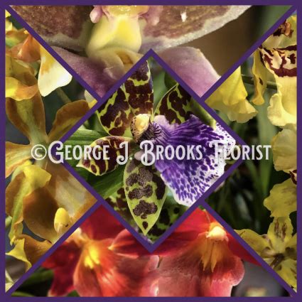 Site Map - George J. Brooks Florist LLC - your local Brattleboro, VT …