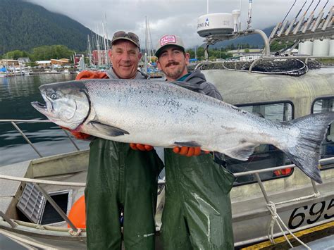 Sitka salmon. Chinook Salmon (King Salmon) – Peak Time – Mid-May to July. Chinook Salmon, or King Salmon as it is more commonly known, is the ultimate catch you will find in Alaska, and rightfully so. It is the official state fish of Alaska. Catching King Salmon is hard and they typically weigh around 30 pounds. 