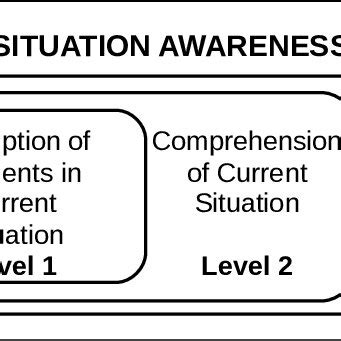 Situation Awareness, Multi-tasking and Distraction - Springer