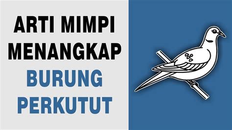 Situs judi bola live streaming. Mimpi menangkap burung perkutut.