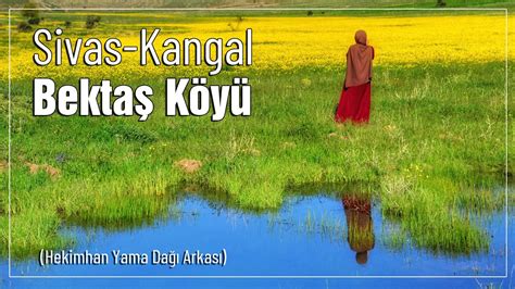 Sivas Aktepe Benzer.