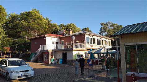 Sivas Hafik En Yakin terapi halı yıkama