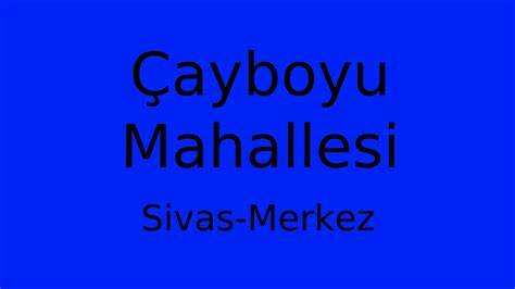 Sivas Merkez Cayboyu Mahallesi terapi halı yıkama