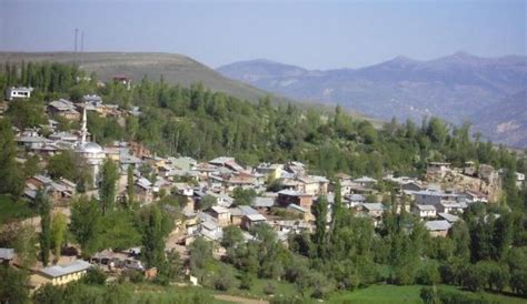 Sivas Susehri terapi halı yıkama