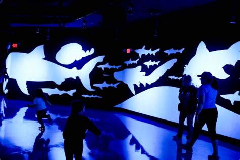Six Flags’ 31-year-old shark exhibit just got a major makeover