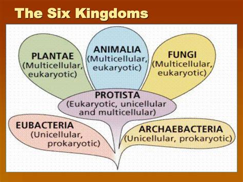 Six Kingdom Classification System