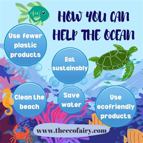 Six Ocean-Friendly Habits to Help Protect Marine Life